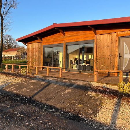 Petit Chalet Au Coeur De La Foret Proche Disney La Houssaye-en-Brie Dış mekan fotoğraf