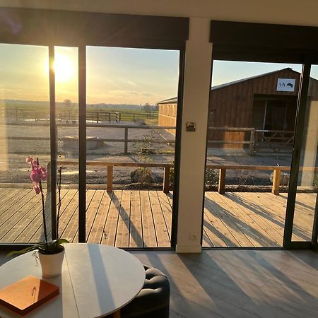 Petit Chalet Au Coeur De La Foret Proche Disney La Houssaye-en-Brie Dış mekan fotoğraf